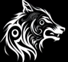 Logo DRAKKAR SECURITY